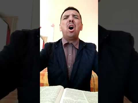 Riflessione Biblica: IL VERO SERVO DI DIO DEV'ESSERE SAGGIO, SEMPRE PRONTO E AVVEDUTO.