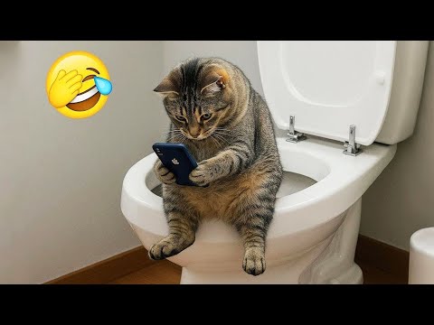 New Funniest Cats and Dogs Clips 2025😼🐶Try Not To Laugh😜😍 Part 15