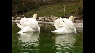 preview picture of video 'Ethno village Stanišići / Etno selo Stanišići'