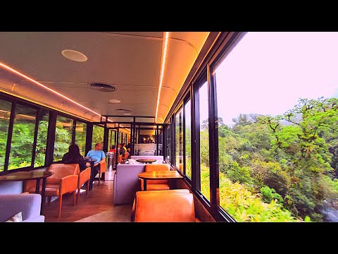What is like to travel in a LUXURY TRAIN in BRAZIL across the Atlantic FOREST