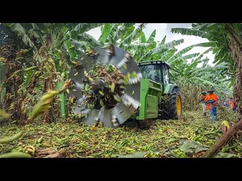 Incredible Powerful Banana Chopper, Farm Machines and Precision Manufacturing – Full Documentary