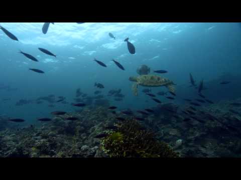 Human Planet - Ocean