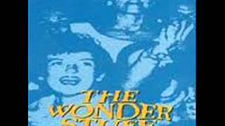 THE WONDER STUFF - THE SIZE OF A COW - RADIO ASS KISS
