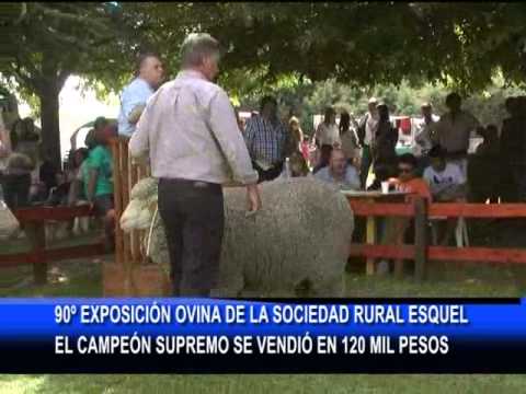 19 01 15 REMATE GRAN CAMPEON SOCIEDAD RURAL 640x480