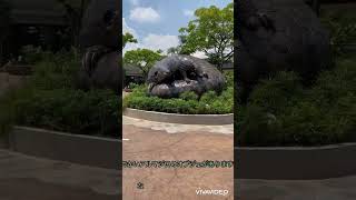 シンガポールの水族館のアクアリウムのレイアウト見に行く‼︎パート1