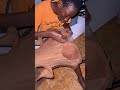Corset Making ️