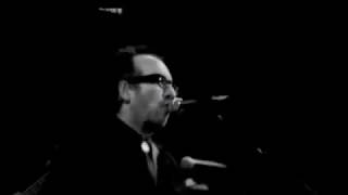 Elvis Costello - Welcome to the Working Week (live in San Francisco, CA 11/8/07)