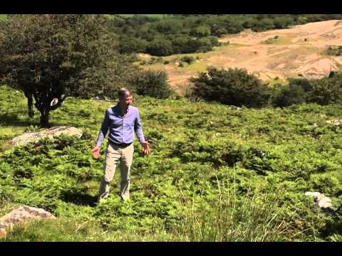 Living in the Bronze Age