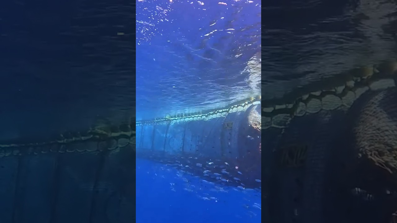 The Ocean Cleanup Captures Record Amount of Plastic From the Ocean
