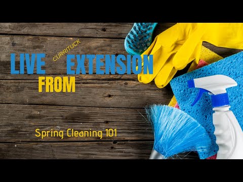 Spring Cleaning 101