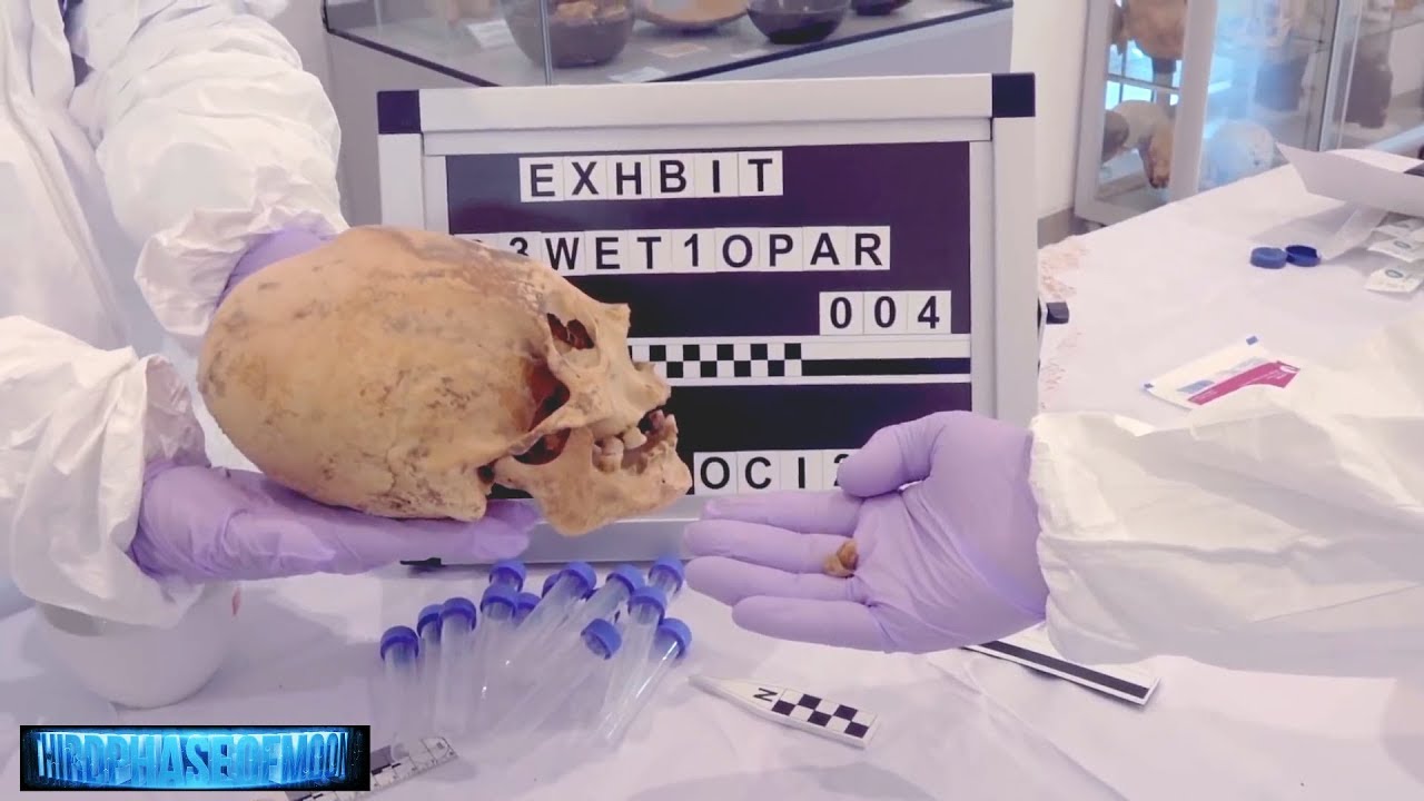 It Just Happened! DNA Results Could Rewrite History 2018! It Just Happened! DNA Results Could Rewrite History 2018!