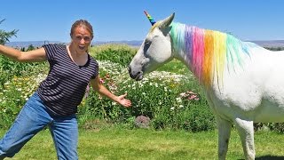 Swimmers and Unicorns In Real Life!