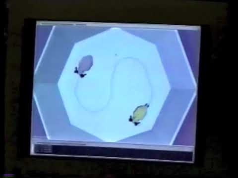 Tape #022 9-12 April 1995 - ACM SIGGRAPH Symposium on Interactive 3D Graphics - Tape 1