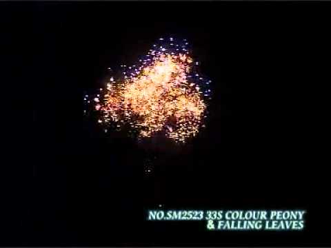 33 Shot Pro Pyro Colour and Falling Leaves