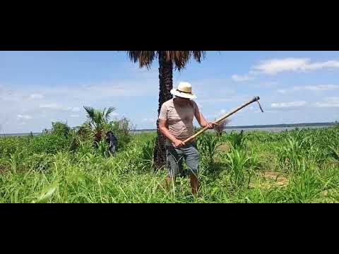 PARNAGUÁ PIAUÍ - NA BEIRA DA LAGOA 