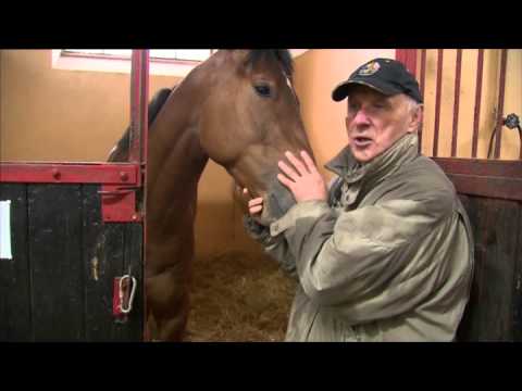 Przed Sezonem 2014 (odc. 10)