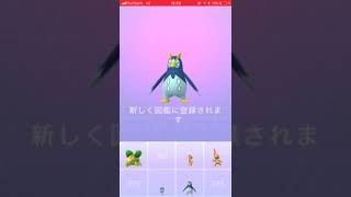 ポッタイシ ポケットモンスター ファイアロー コドラ クイタラン ポッタイシ ポケットモンスター ファイアロー コドラ クイタラン