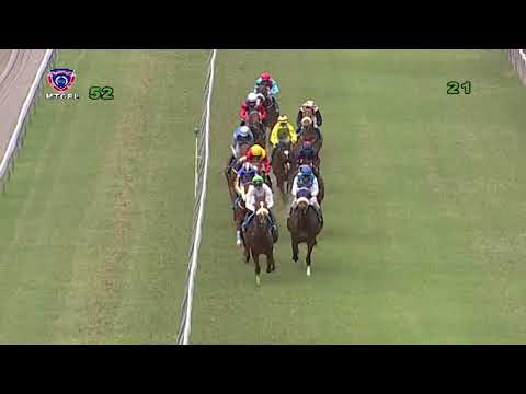 The Grooms Cup | Winter Guard | S.Rama