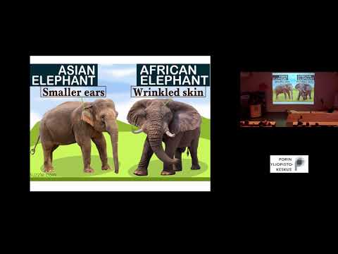 TiedeAreena - Lasten yliopisto