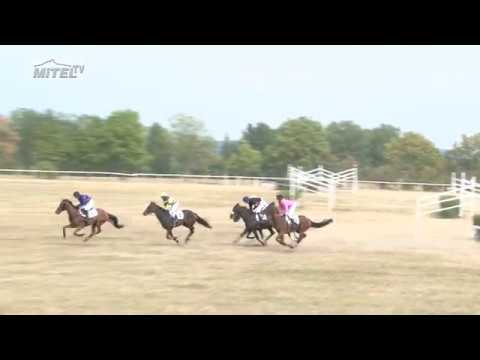 Dostihy Mimoň 4.8.2018