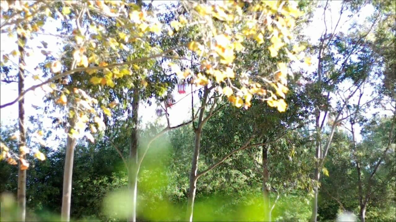 Pentax SMC FA 50mm f/1.4