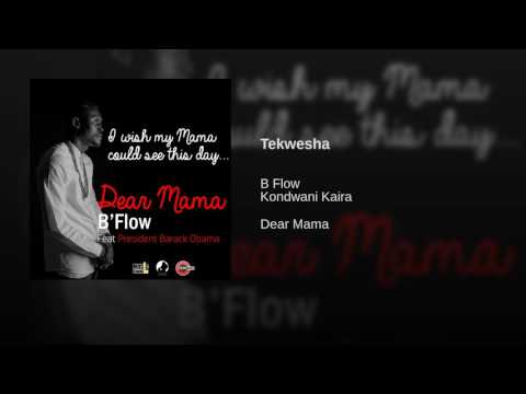 Tekwesha Ft. Chef 187 (Official Video) - B Flow