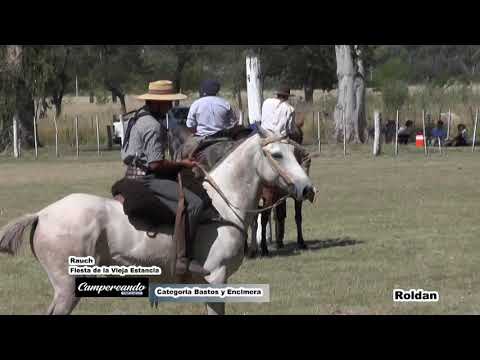 CAMPEREANDO TAPALQUÉ. Programa 250
