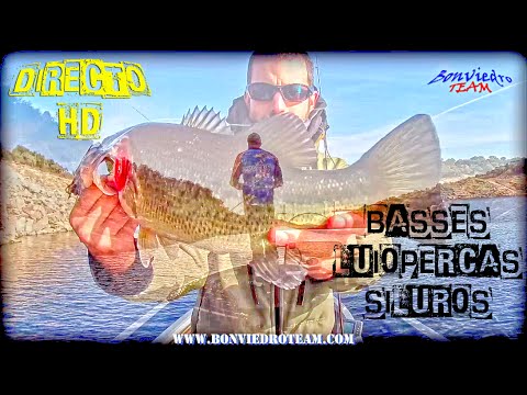 PESCA BLACK BASS en EXTREMADURA #3 | 2017 | HD | LARGEMOUTH BASS FISHING