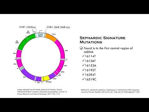 Sephardic Signature in Haplogroup T - Connections Official - 04 27 2022