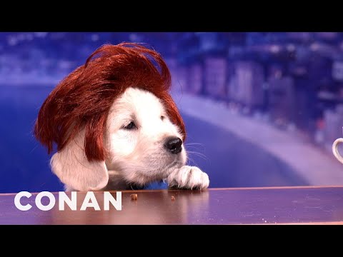 Presenting "Puppy Conan" - CONAN on TBS