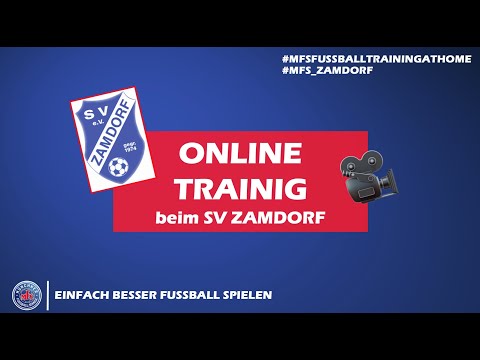 MFS - Level 2B - Onlinetraining beim SV Zamdorf