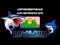 Nachbetrachtung Zum 141 SchleFaZ Hai Alarm Auf Mallorca 2004