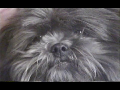 Los Retros - Friends