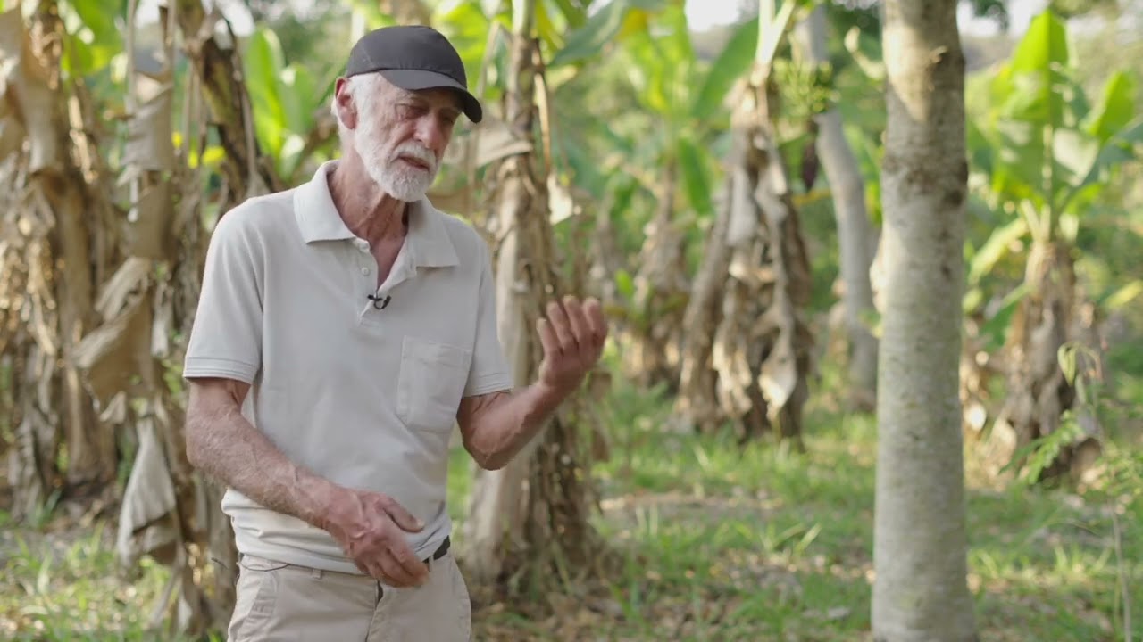 Objetivo do Sistema Agroflorestal Agroecológico (Sítio São João) | Módulo 2 - Aula 1