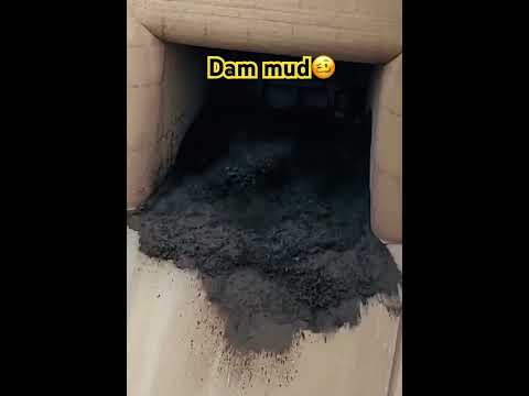 Dam mud #dam gate open after year#funnyclips