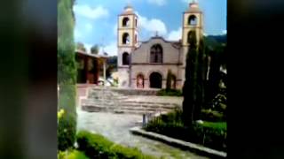 ESE SENOR DE LAS CANAS VICENTE FERNANDEZ