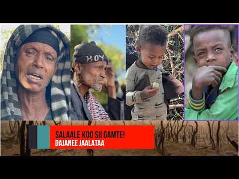 Dajanee Jaalataa -  Salaale koo sii gamte!