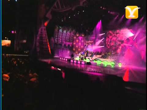 Alejandro Fernández, Yo Nací Para Amarte, Festival de Viña 2006