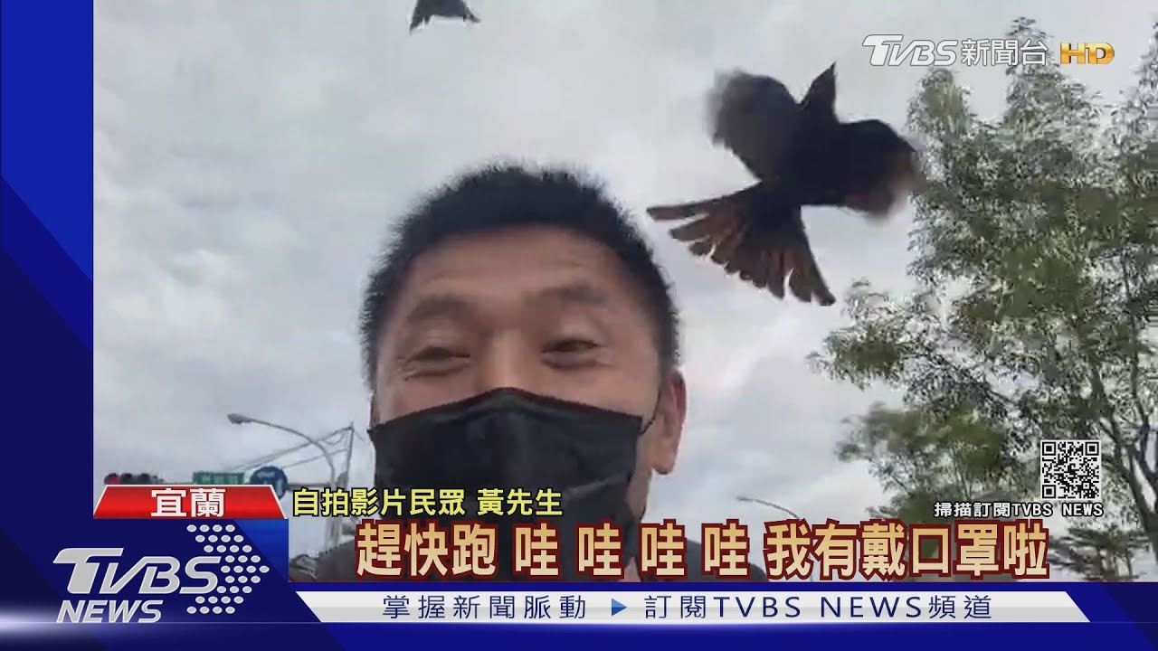 騎車「慘遭烏秋狂啄」!男拍片幽默:檢查有沒戴口罩?專家解答了