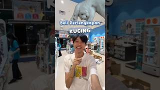 Download lagu BUY SUPPLIES FOR ADOPT CAT 😽🥰 mp3