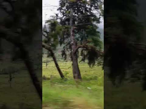 #purulhá #bajaverapaz #guatemala