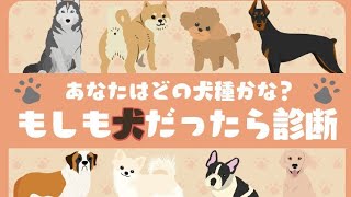 あなたはどの犬種かな？もしも犬だったら診断やってみた！さぁなんの犬だろうか？