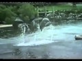 Classic Sesame Street Sea Creatures On Film