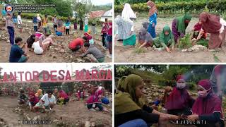 Download lagu KKN Reguler Tahun 2019..2 Desa Margacinta mp3 Download lagu KKN Reguler Tahun 2019..2 Desa Margacinta mp3