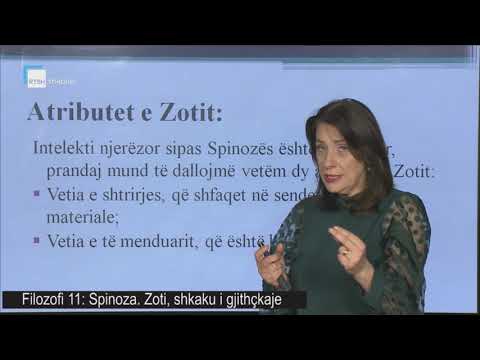 Filozofi 11 - Spinoza. Zoti, shkaku i gjithçkaje.