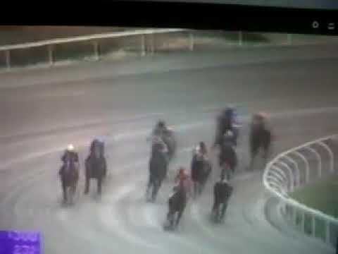 El debut de NEGRESCO