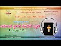 1 Timothy Chapter 1 (1 తిమోతికి) Chapter  || Telugu Audio Bible ||