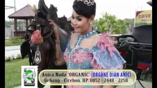Download lagu DIAN ANIC TERBARU 2013 - WELUT ULING mp3