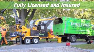 Iron Tree TV Commercial (Spring 2016 V2)