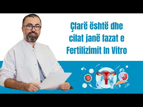 Çfarë është dhe si funksionon Fertilizimi In Vitro?